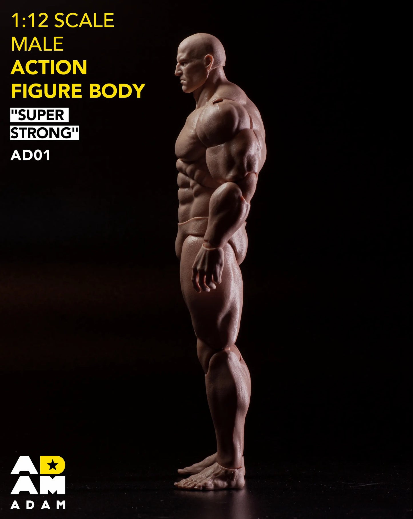 MUFF TOYS Adam Comic Style Super Strong Male 1/12th Scale Action Figure Body AD01